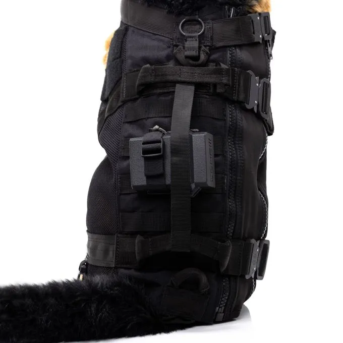 laso-k9.webp
